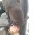 Justin Trost's profile image