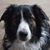 Bruce Helwig's profile image