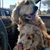 Marysela Necha's profile image