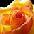 Donna Tyree's profile image