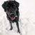 Caryn Cook Wood's profile image