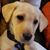 Adam Stover's profile image