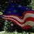 Vickie Eubanks Day's profile image