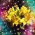 Lisa Baldani Esposito's profile image