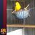 Jaime Mata's profile image