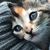 Arlyce Hamann Anderson's profile image