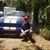 Aleman Garcia's profile image