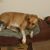 Tina Rene' Seay's profile image