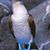 Antonio Diaz's profile image