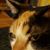 Shelly Vanpelt's profile image