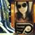 Mandi Rumion's profile image