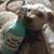 Heather Berault's profile image