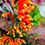 Runu Datta's profile image