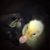 Beth Lingner's profile image