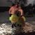 Kim Cates's profile image