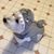 Lisa Green's profile image