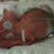 Candy VanOcker's profile image