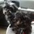 Karen Jean Clark's profile image