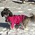 Julie Colwell's profile image
