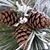 Karen Cashen's profile image