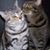 Donna Ward's profile image