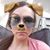 Stephanie Wilson's profile image