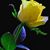 Kris Messina's profile image