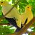 Tammy Carrico-Brickert's profile image