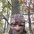 Brian Harrison's profile image
