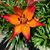 Patty O'Neal-Woodruff's profile image