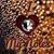 Debbie Schumaker Robertson's profile image