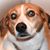 Bonnie Stagner's profile image