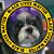 Allison Smith's profile image