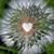 Shirley Prieto's profile image
