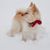 Ildiko Laszlo's profile image