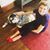 Ellie Faul's profile image