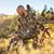 David S. DeAustin's profile image