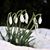 Maureen Woyci's profile image