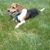 Doug Pinnell's profile image