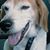 Jennifer Davenport's profile image