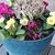 Lorraine Wyne DeSpain's profile image