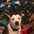 Tonya Wimmer's profile image