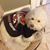 Debbie Morano Higuera's profile image