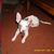 Liz Kelly's profile image