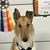 Pamela Leland's profile image