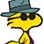 Riky Waldrop's profile image