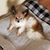 Jill Martinez's profile image