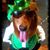 Janet Reker's profile image