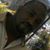 Clifton Morrow's profile image