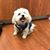 Eileen Patrice Marks's profile image